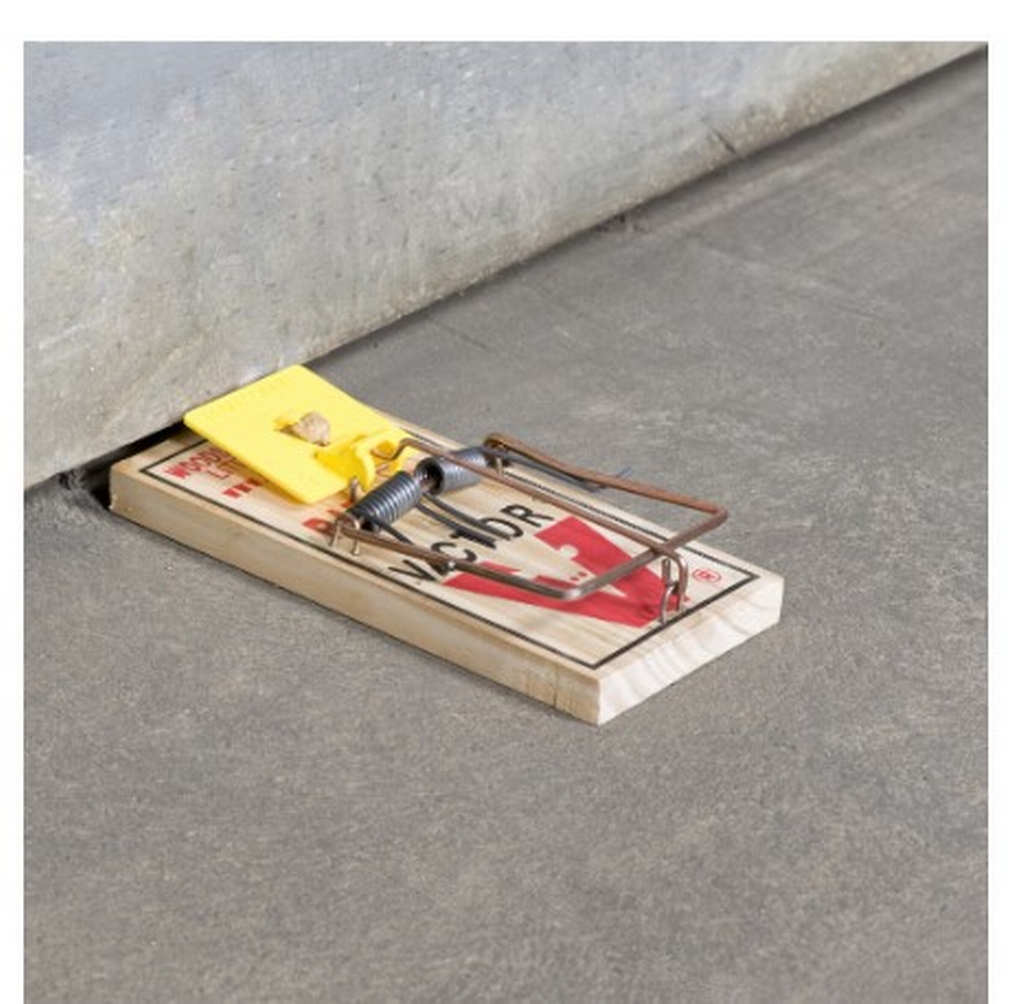 Victor trappe à rats Easy-Set